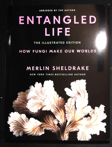 Entangled life merlin - entangled,