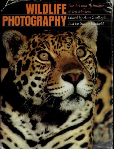 Wild life photography - wild,