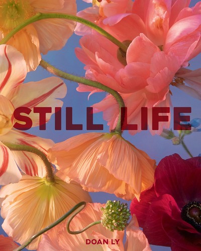 Still life doan by - by,