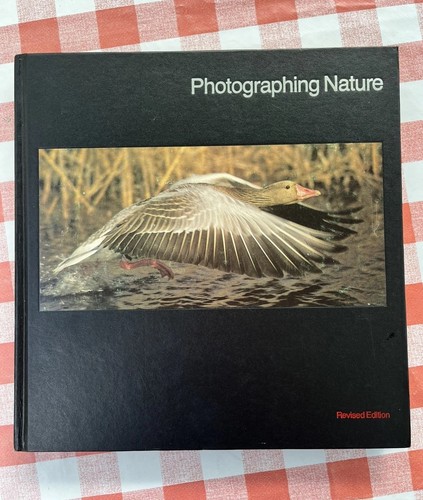 Photographing nature life - photographing,